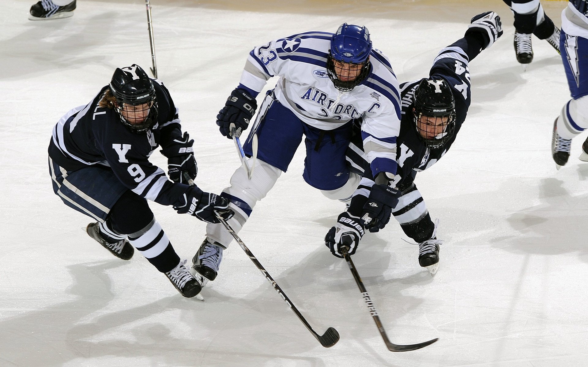 青少年体育培训政策调整,青少年体育培训政策调整方案