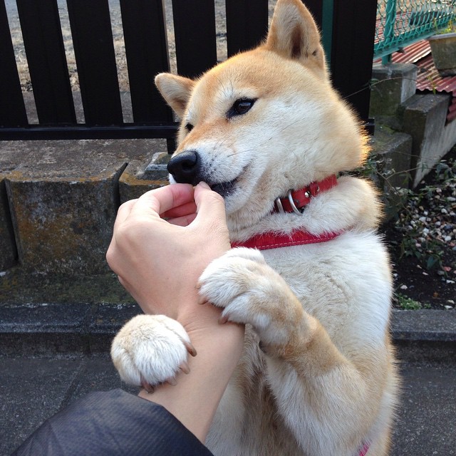 _极限飞跃挑战:越过障碍,超越自我_,飞越极限都有哪些场景