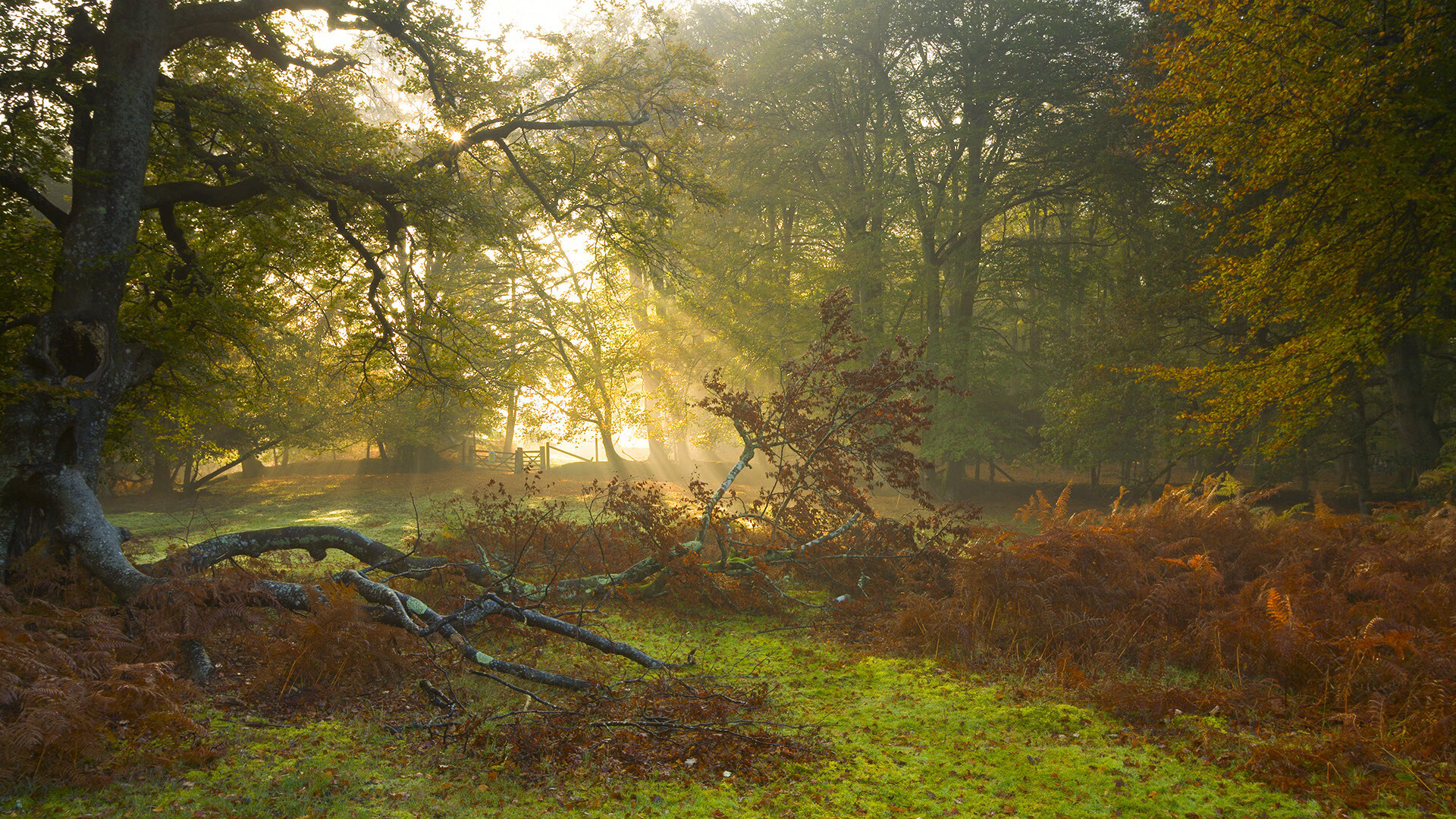 开云备用-“青少年足球联赛门票销售火爆，吸引大量青少年及家长”，青少年足球比赛时间